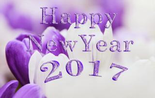 Download And Use 2017 Happy New Year Png Clipart PNG images