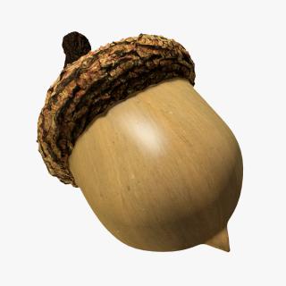 Download Free Acorn PNG PNG images