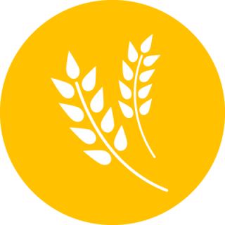 Orange Agriculture Icon Png PNG images