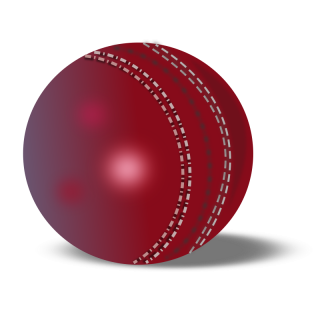 Cricket Ball Icon Png PNG images