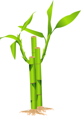 Download Icon Vectors Free Bamboo PNG images