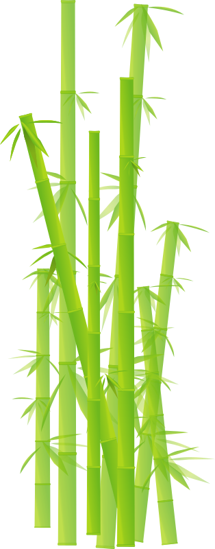 Browse And Download Bamboo Png Pictures PNG images