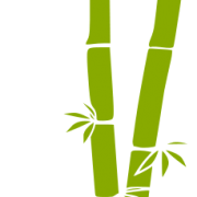Bamboo Png Images Free Download PNG images