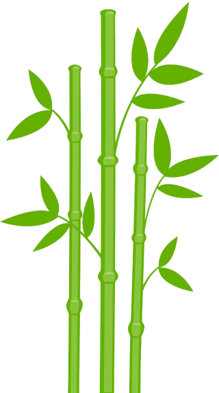 Bamboo Png Designs PNG images