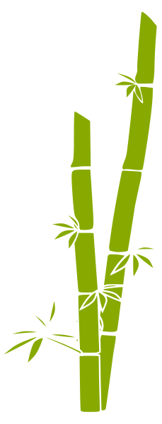 Bamboo Download Picture PNG images