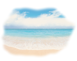 Download Beach Images Free Png PNG images