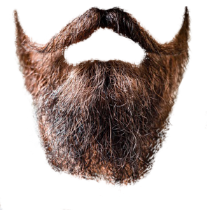 No Background Beard Png PNG images