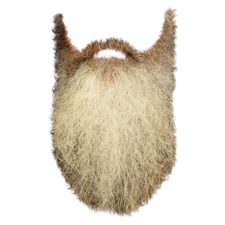 Simple Brown Beard Png PNG images