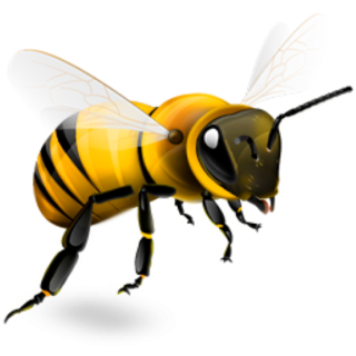 Bee Png Available In Different Size 28 PNG images