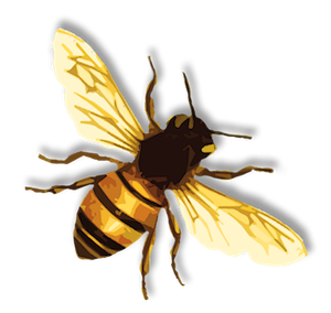 Free Clipart Pictures Bee PNG images