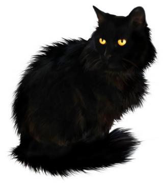 Best Free Black Cat Png Image PNG images
