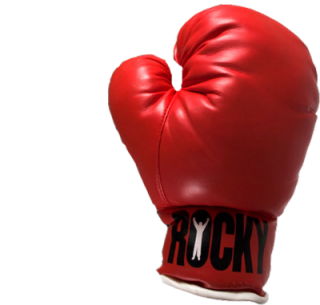 Browse And Download Boxing Png Pictures PNG images