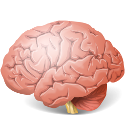 Body Brain Icon PNG images