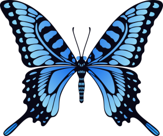 Clipart Png Collection Butterflies PNG images