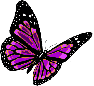 Butterflies Free Clipart Pictures PNG images