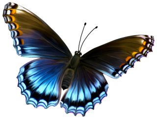 Butterflies Png Available In Different Size PNG images