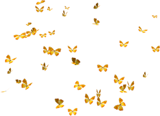 Flying Butterflies Png PNG images