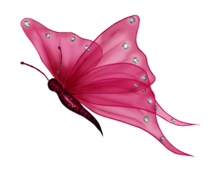 Pink Butterflies Png PNG images