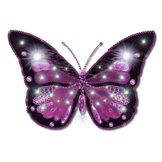 Wonderful Butterflies Png PNG images