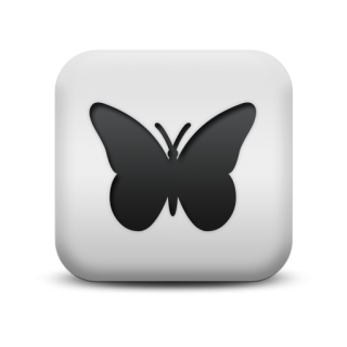 Icon Image Butterfly Free PNG images
