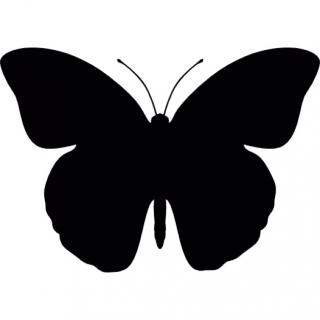 Icon Symbol Butterfly PNG images