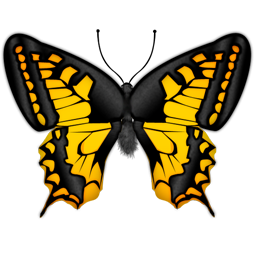 Butterfly Png Vector PNG images