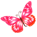 Download Ico Butterfly PNG images