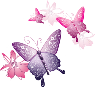 Pink Butterfly Png PNG images