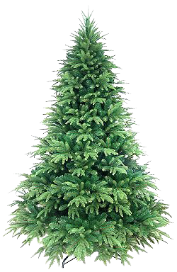 Christmas Tree Collection Clipart Png PNG images
