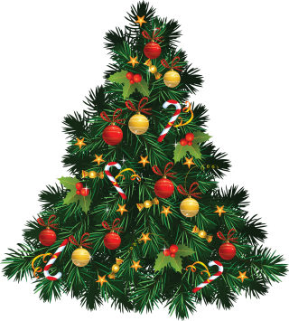 Image PNG Transparent Christmas Tree PNG images