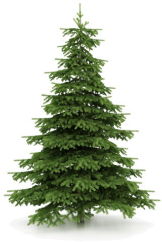 Christmas Tree Picture Download PNG images