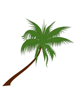 Best Free Coconut Tree Png Image PNG images