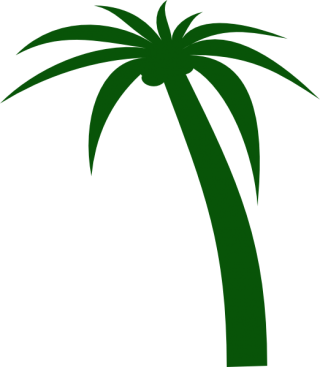 Download Coconut Tree High-quality Png PNG images