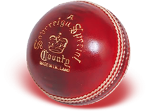 Download And Use Cricket Ball Png Clipart PNG images