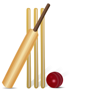 Download Png Clipart Cricket Ball PNG images