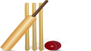 Picture Cricket Ball PNG PNG images