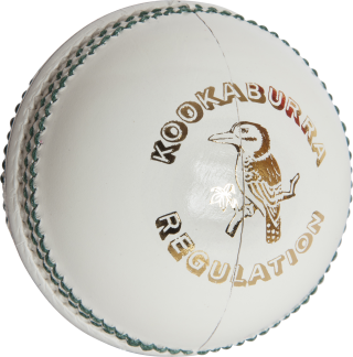 Get Cricket Ball Png Pictures PNG images