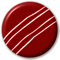 Download Free High-quality Cricket Ball Png Transparent Images PNG images