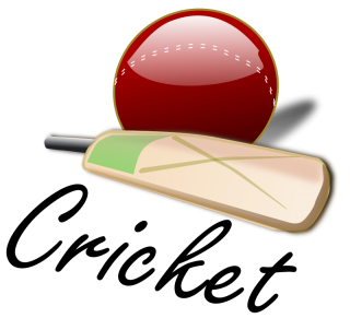 High Resolution Cricket Ball Png Icon PNG images