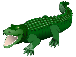Gaping Crocodile Drawing PNG images