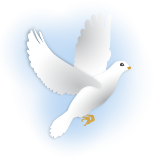 Dove Png Pictures PNG images