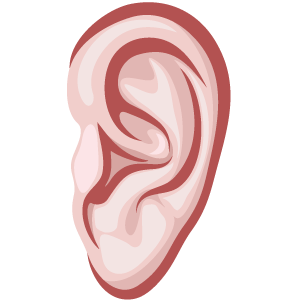 Ear Body Part PNG images