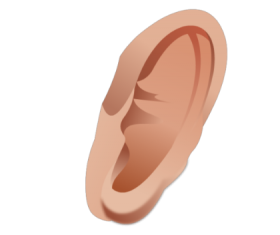 Ear Png Clipart PNG images