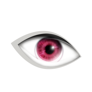 11 Eye Icon | Cosmetic Iconset | Dooffy PNG images