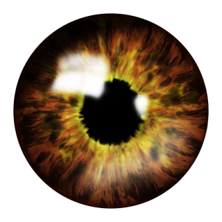 Brown Eye Png File PNG images