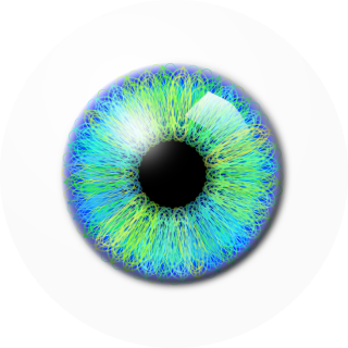 Eye Drawing Png PNG images