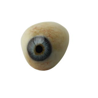 Eye Transparent PNG PNG images