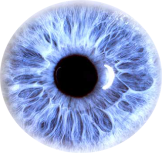 Eyes PNG File PNG images