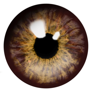 Real Brown Eye Png PNG images
