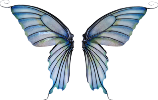Fairy Wings Png Image PNG images